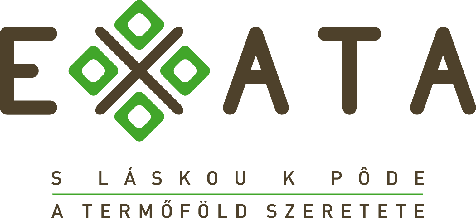 EXATA GROUP